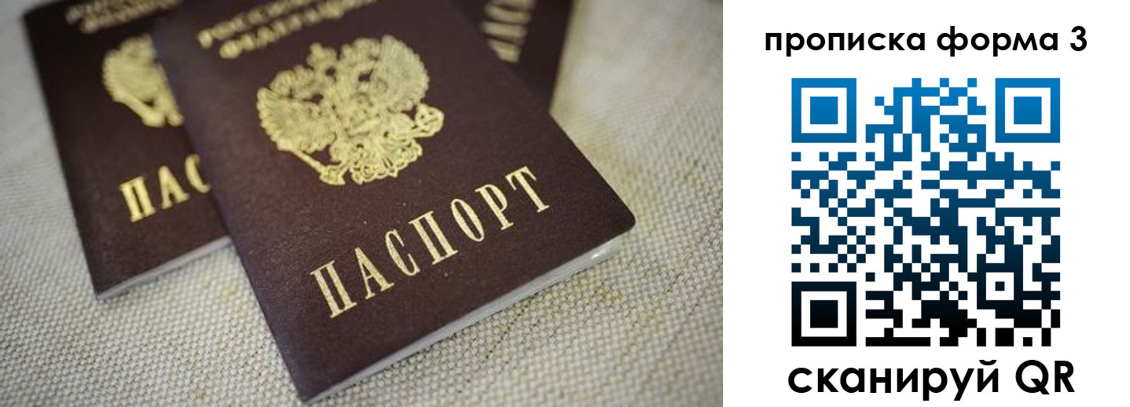 прописка поиск в Осе